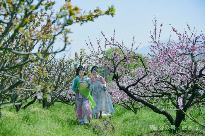 民宿_新浪新闻