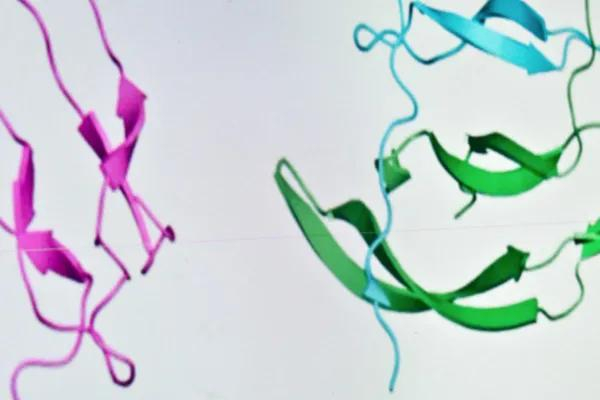 创新药、体外诊断、中间体等将是拓展客户的重点方向。