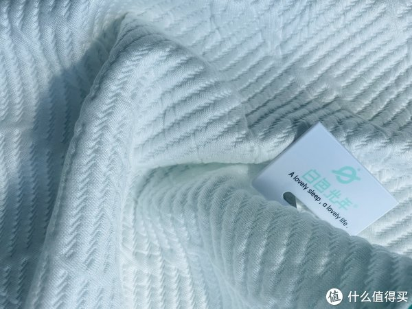 面料是四周拉链式的设计,脏了随时都可以拿下来洗,对于我们日常使用后