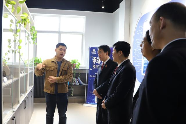 "两行动,两措施"丨西安长安法院:问需于企 护航企业高质量发展|长安区