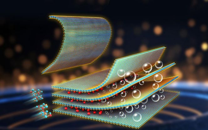 地采用固相化学插层剥离方法,筛选出了一种固相插层试剂——硼氢化锂