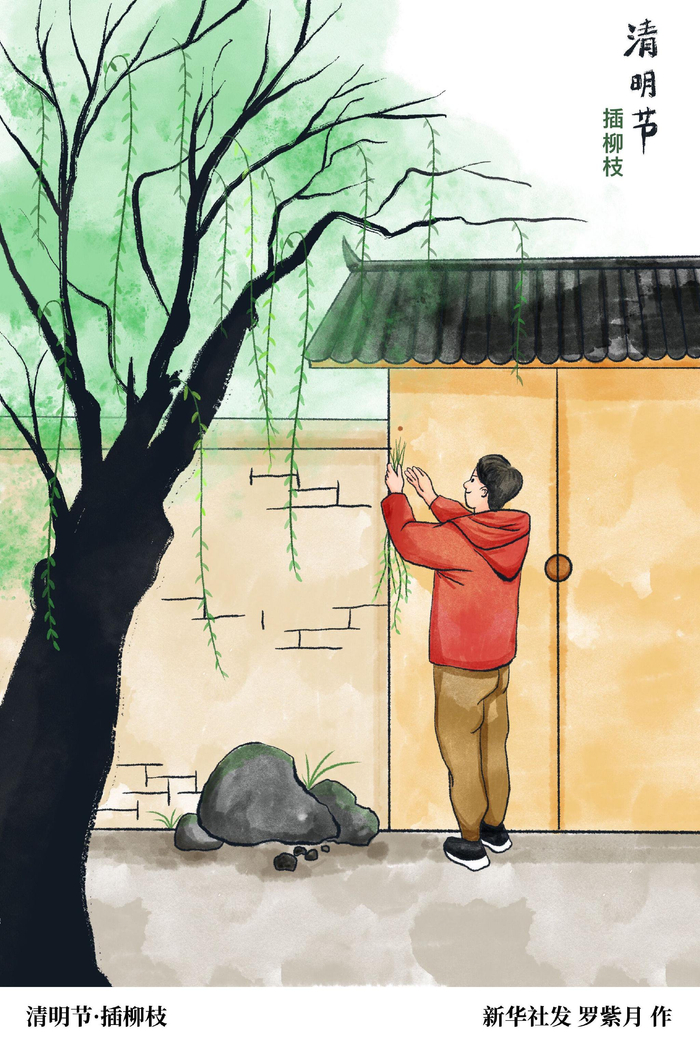 二十四节气·清明丨清明节·插柳枝|二十四节气|柳枝|新绿_新浪新闻