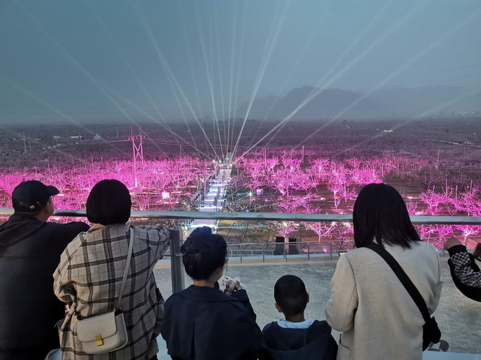 再有5天,世界面积最大桃园将解锁新玩法|平谷区|桃花节|平谷_新浪新闻