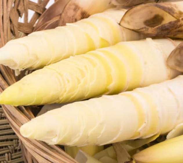 自己在家做美食 | 春天必吃鲜嫩极品——"菜王"春笋|春笋_新浪新闻