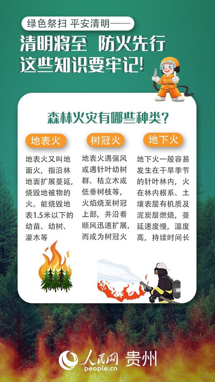 清明节森林防火简报图片