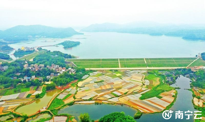 大王滩水库除险加固工程建设如火如荼|水库|南宁市|旅游_新浪新闻