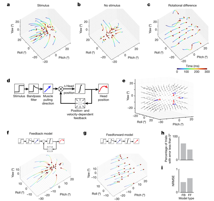 中医治疗运动神经元病有哪些常用方剂?