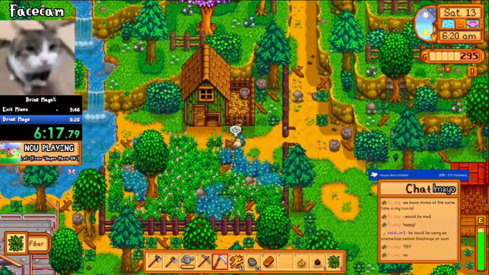 “你好小鸡，我知道你很失望，但我不在乎”