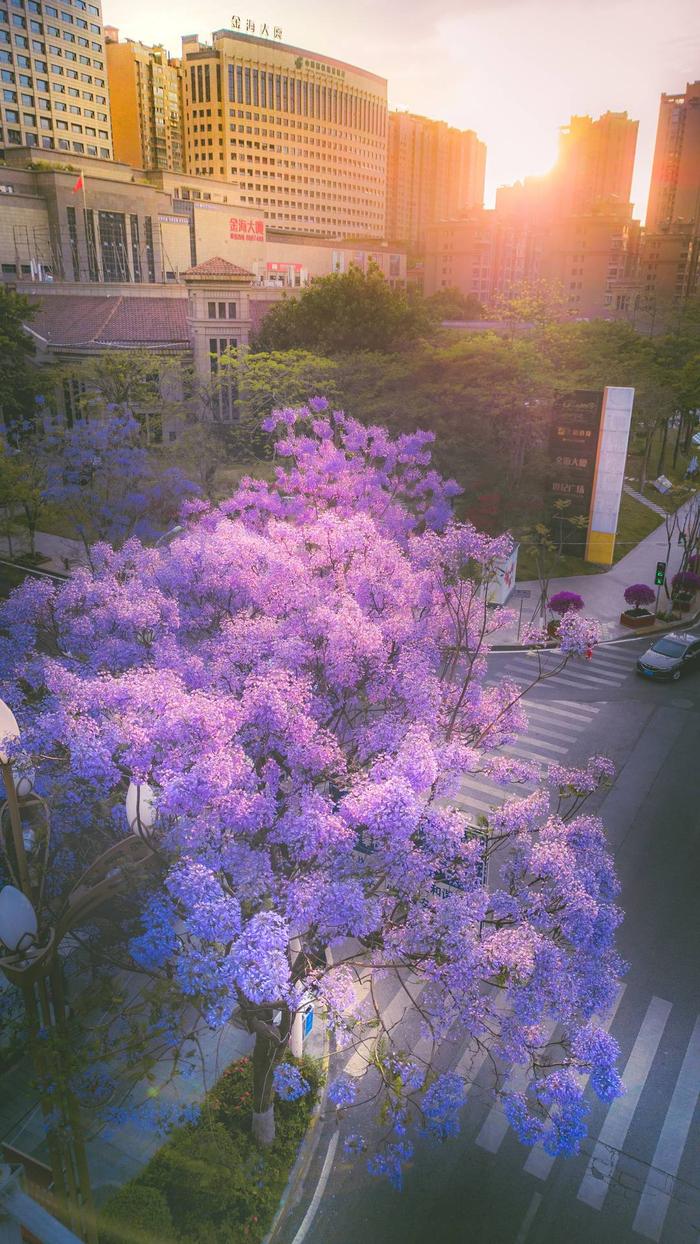 满城神湖花海门票图片