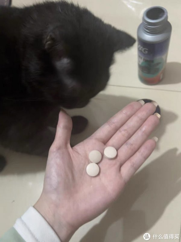 猫咪又吐了怎么办|猫咪|毛球|毛片_新浪新闻