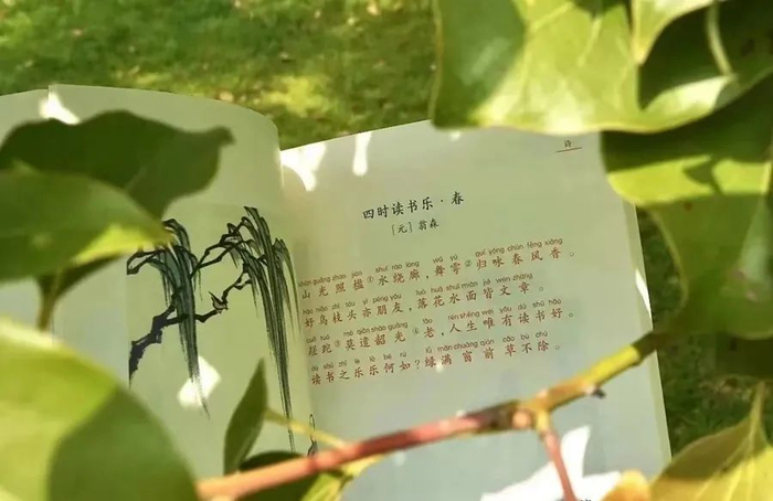 丰子恺:像个大人一样去生存,像个孩子一样去生活