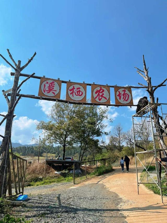 满屏都是春昆明这份最强踏青线路线请收好