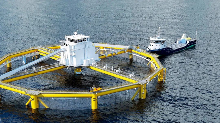 2017年，由中国建造的“Ocean Farm 1（海洋渔场1号）”在挪威沿海运营。（图/视频截图）