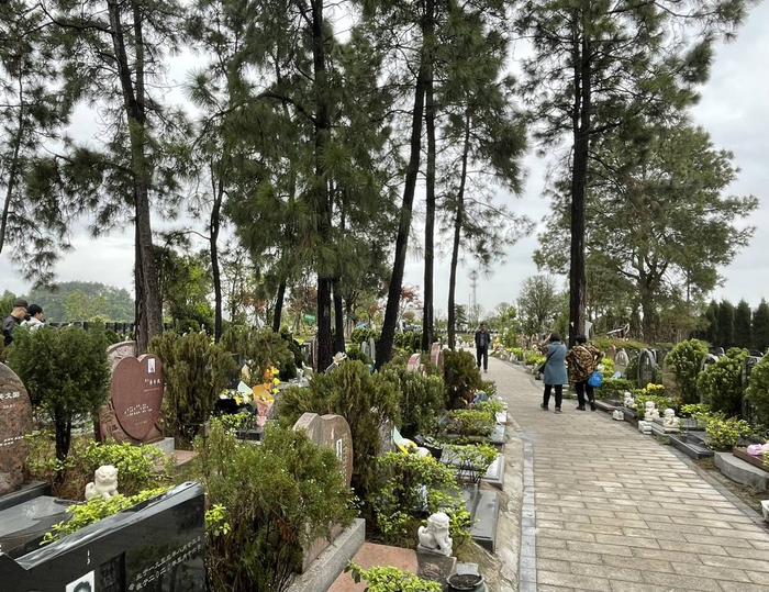 自贡市殡葬服务中心公墓区(原南山公墓)迎来许多扫墓的市民,当天有近