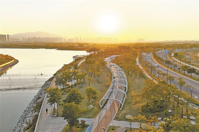 马銮湾新城新添环湾生态公园|红树林_新浪新闻