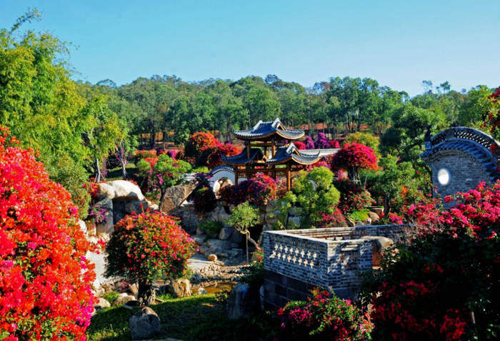 闲适的小院……澄澈的天空,浪漫的花海,游客中心→草帽花香道→田悦