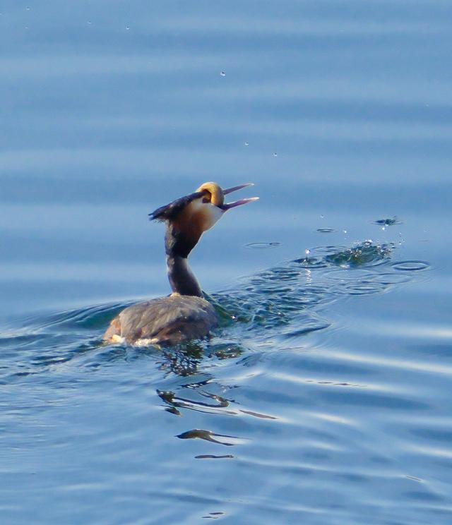 作者：吉林日报全媒体记者 石雷