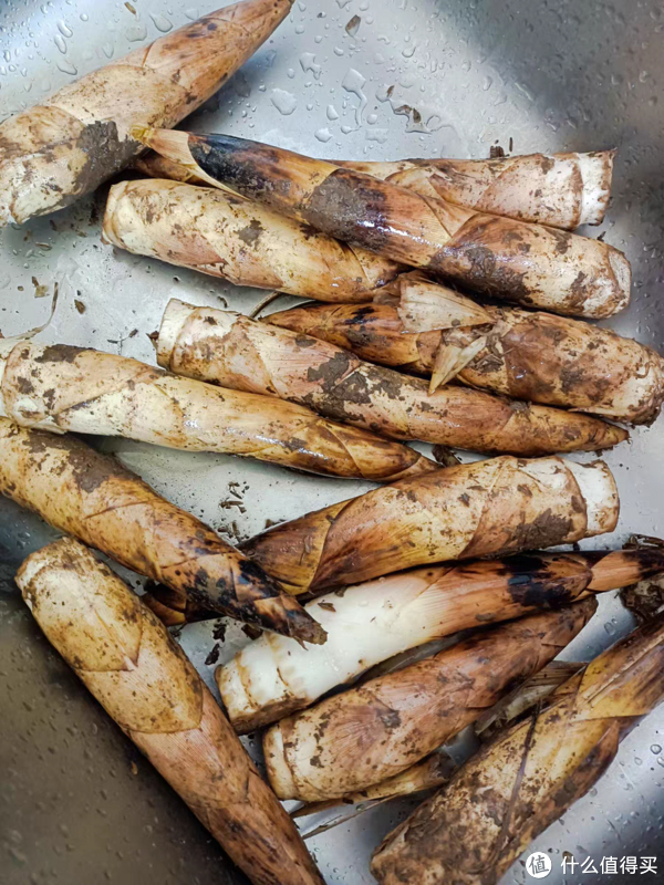 春天的笋最鲜嫩竹笋炒肉营养丰富