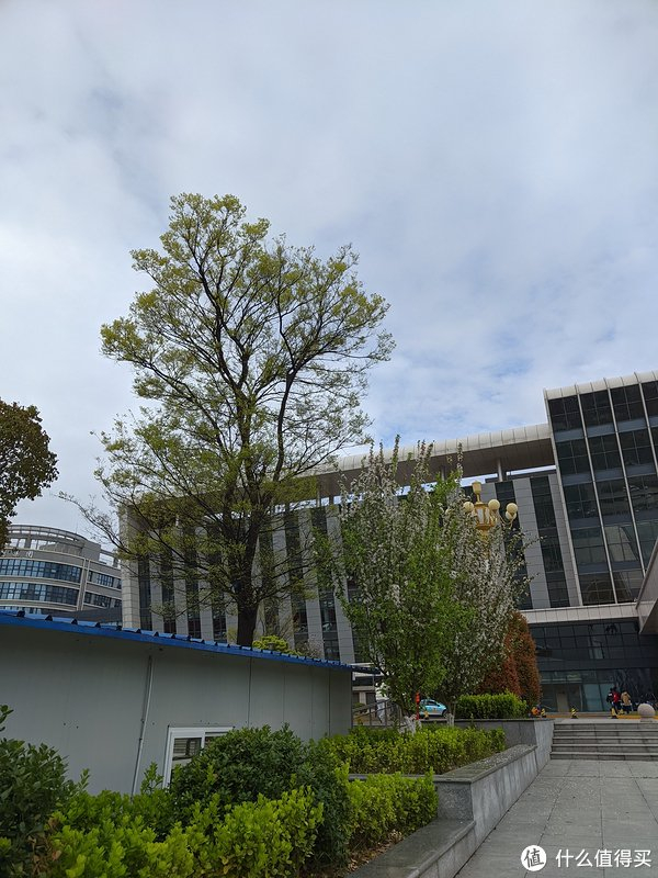 清明游徐州佛手山公园