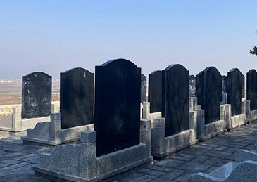 上海民政局回应网友提议建廉价墓地|上海市_新浪新闻