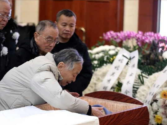 朱令背后的北大男同学:没救回她,是我最大的遗憾|北京大学_新浪新闻