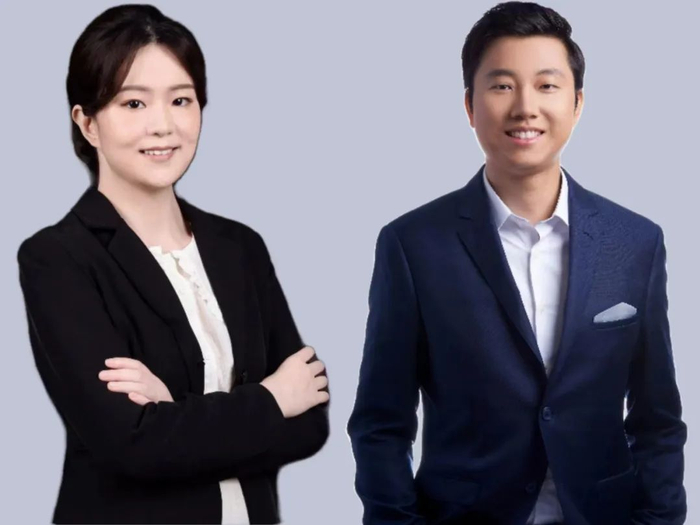 科学家合成纯有机二维层状钙钛矿单晶,攻克全有机二