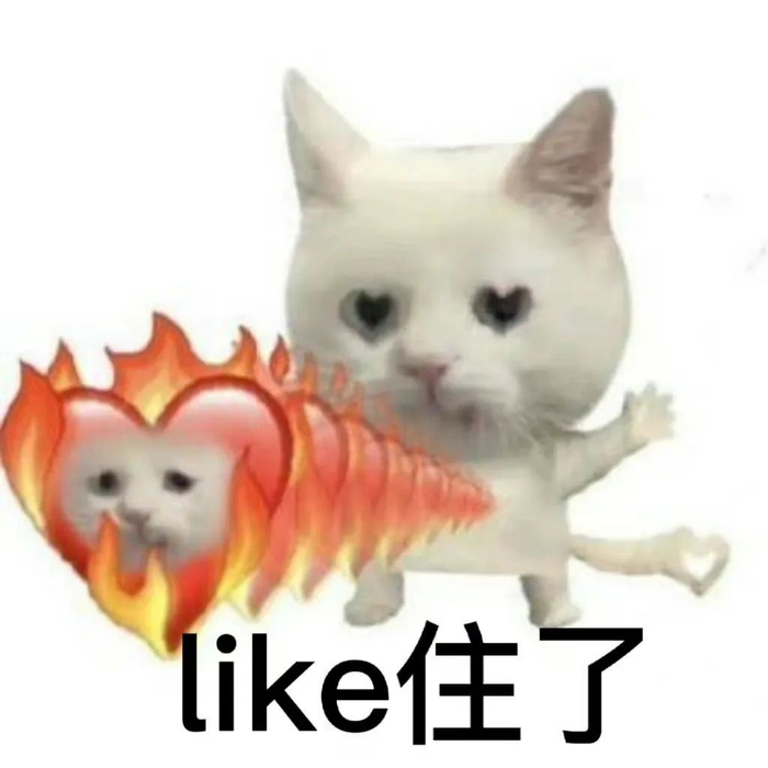 黄子佼|章若楠|比伯_新浪新闻