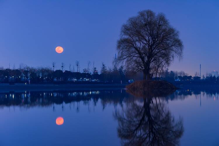夜读丨美景,总在半梦半醒之间|月光|月亮|迟子建_新浪新闻