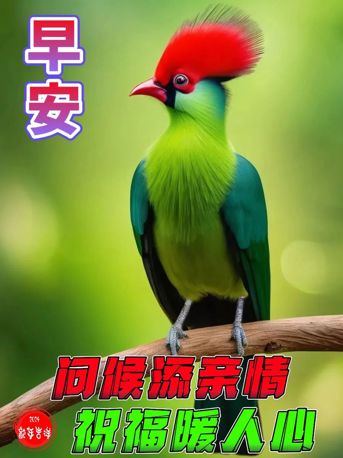 2024年4月5日最新早上好祝福语图片大全唯美早安温馨问候集锦