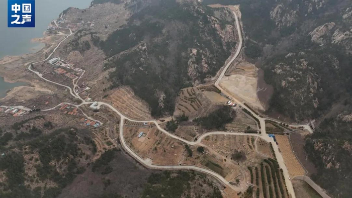 毁山挖林修路区域航拍画面。