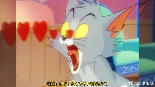 可怜的汤姆,不仅失去美女猫的宠爱,还要被杰瑞欺负