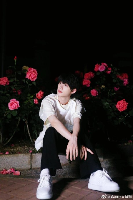 论@时代少年团-丁程鑫 和鲜花93的适配度,今晚种"鑫鑫"花!