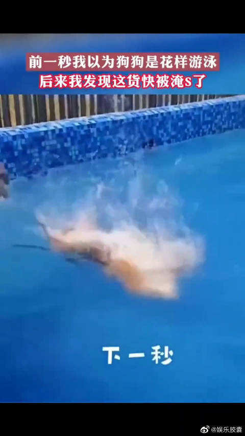 确认过眼神快要淹死了