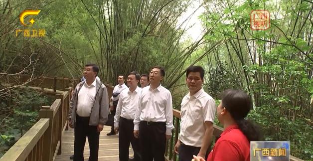 刘宁深入宁明县调研文化遗产保护利用和森林防火工作。来源：广西卫视截图