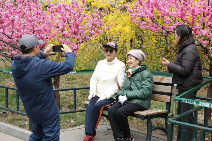 北京紫竹院公园推荐节后错峰赏花路线