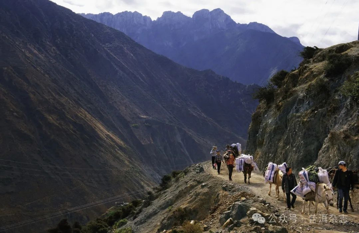 重走洛克之路蓝月谷木里|洛克_新浪新闻