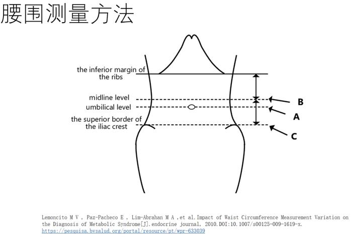 如何测腰围图片