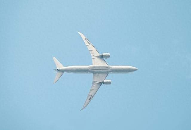 卡尔霍恩自2020年1月起担任波音ceo,当时正值波音737 max飞机在全球