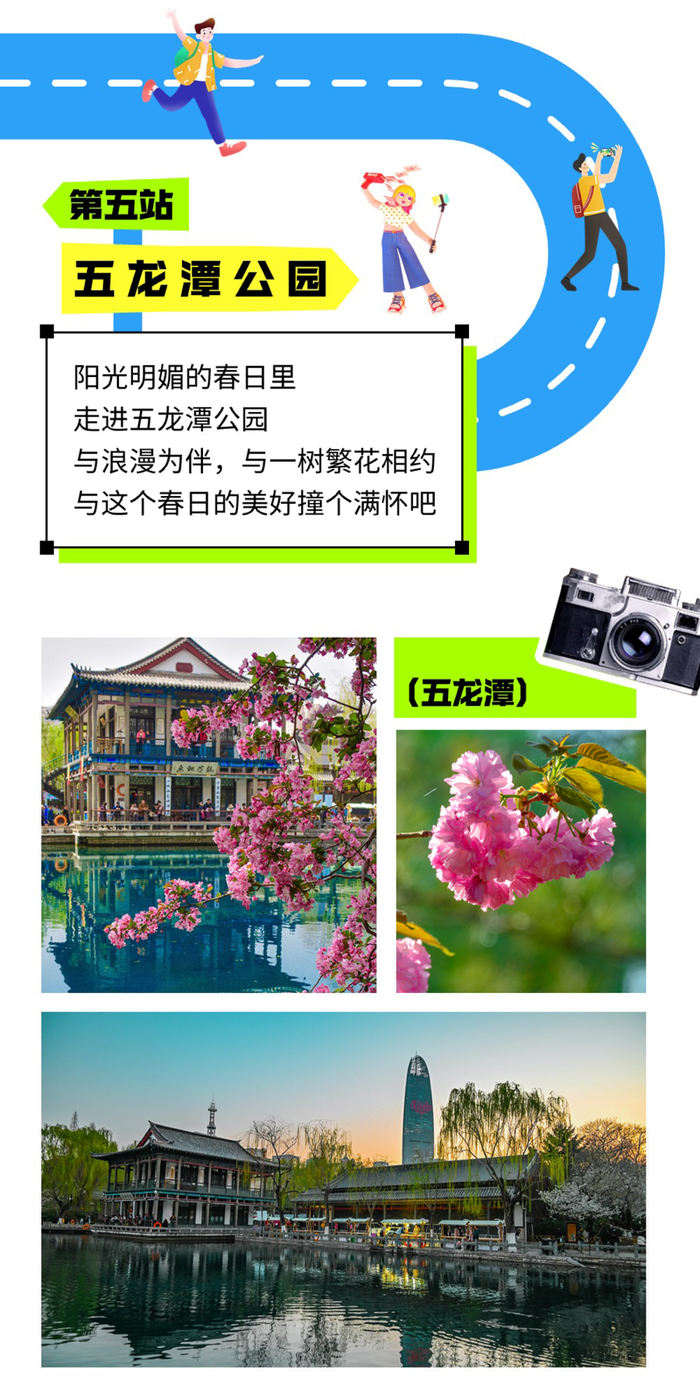 摄影:周博文,陈振,王琴 2024年3月于五龙潭公园目前,最让人惊艳的要