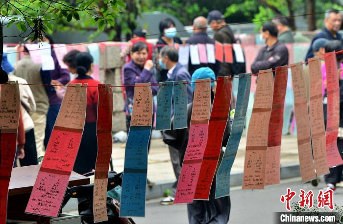 福州相亲角觅良缘