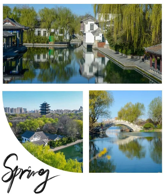 黑虎泉|王琴|济南市_新浪新闻