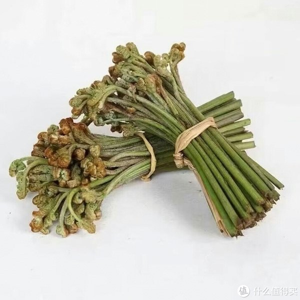 蕨菜新吃法!健康美味两不误