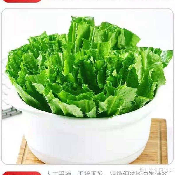 春天就吃油麦菜__财经头条