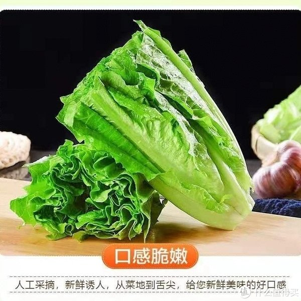 春天就吃油麦菜__财经头条