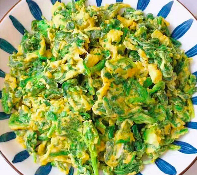 它是"天然杀菌菜",一清热通便,二杀菌,三镇咳,和鸡蛋是绝配