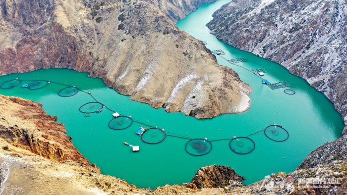 位于尼勒克县的新疆天蕴有机农业有限公司冷水鱼养殖基地（资料图）。石榴云/新疆日报记者 韩亮摄