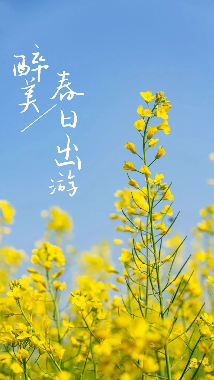 据悉,咸九三期房建专班负责的厦铺互通收费站综合楼已封顶,路面工程