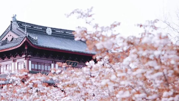 "盐马"专属福利来了!|旅游景区|盐城市|森林公园_新浪新闻