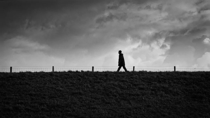 山东新首富之争,他又败了|山东省|魏桥|张波_新浪新闻