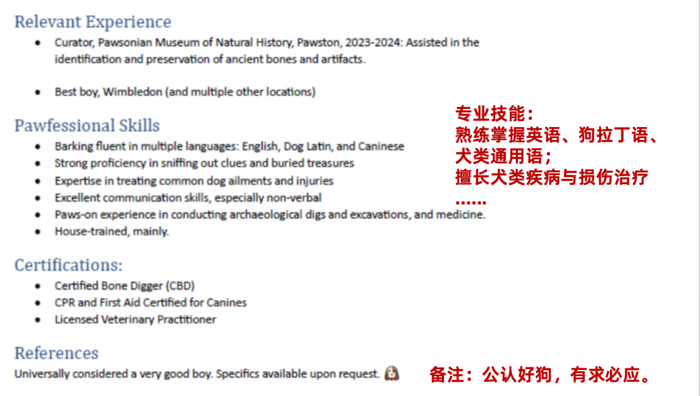 Indy 的简历，图源：社交平台